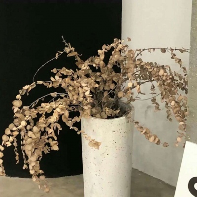 富源FurryQQ群介绍